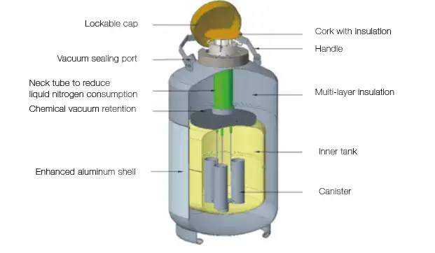 ANTECH CryoMajor系列 帶罐杜瓦瓶 cryomajor structure diagram