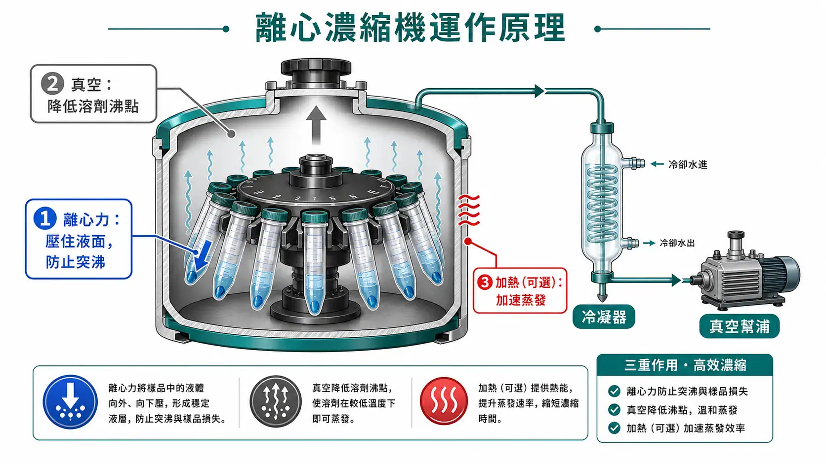 離心濃縮機選型與應用指南|從管型、溶劑到真空系統的搭配邏輯 離心濃縮機三力原理示意圖:離心力防突沸、真空降低沸點、可選加熱加速蒸發