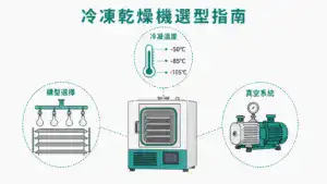 冷凍乾燥機選型三大決策軸線：構型選擇、冷凝溫度與真空系統搭配