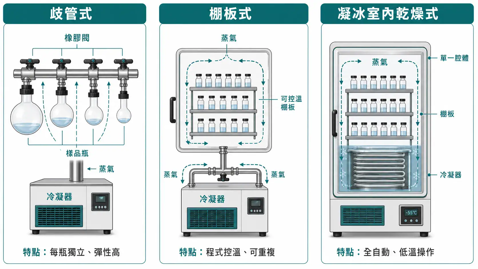 冷凍乾燥機選型完整指南|從構型、冷凝溫度到真空系統的決策邏輯 三種冷凍乾燥機構型結構比較:歧管式、棚板式與凝冰室內乾燥式的剖面差異
