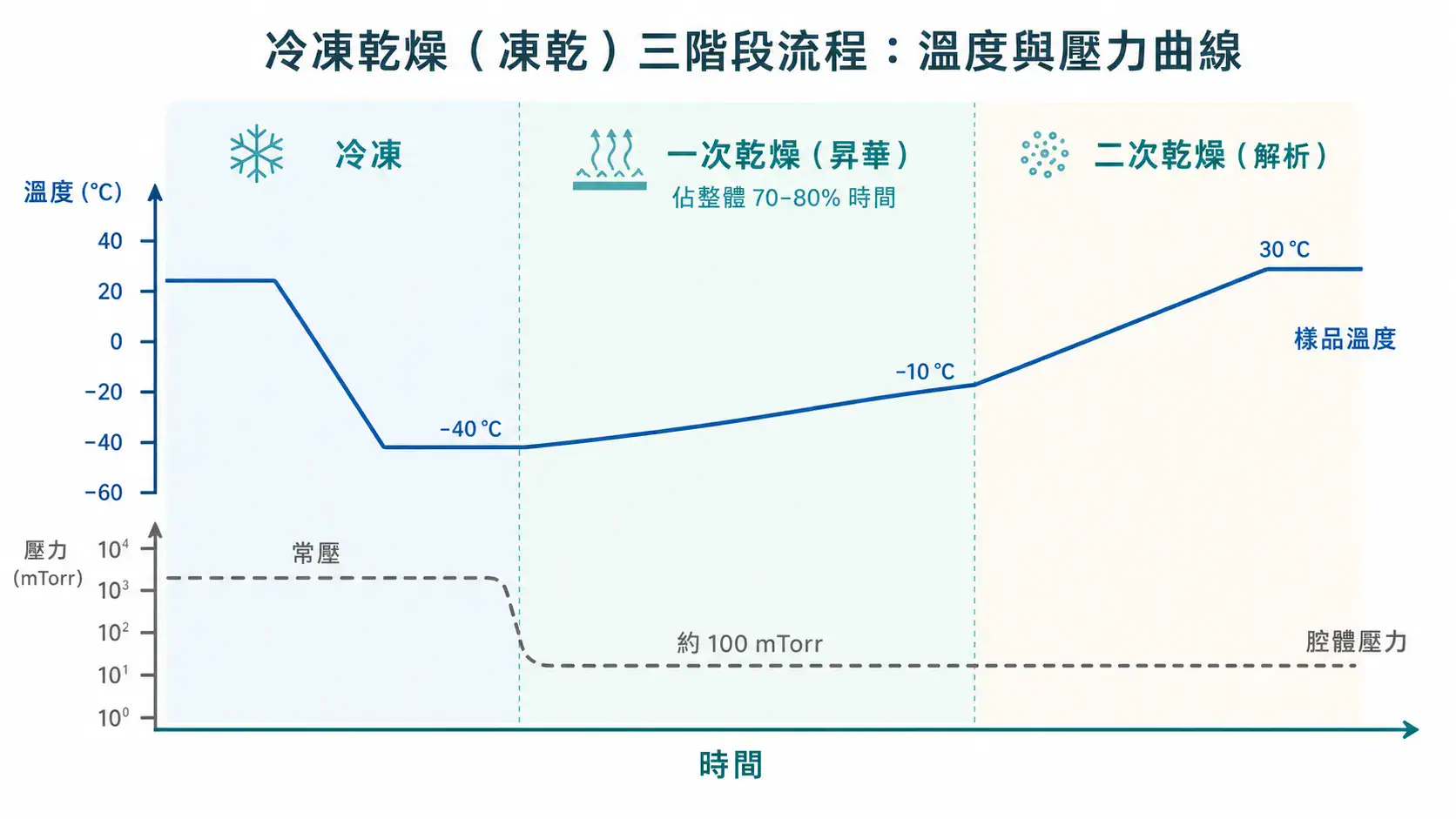 冷凍乾燥機選型完整指南|從構型、冷凝溫度到真空系統的決策邏輯 冷凍乾燥三階段流程圖:冷凍、一次乾燥昇華、二次乾燥解析的溫度與壓力變化