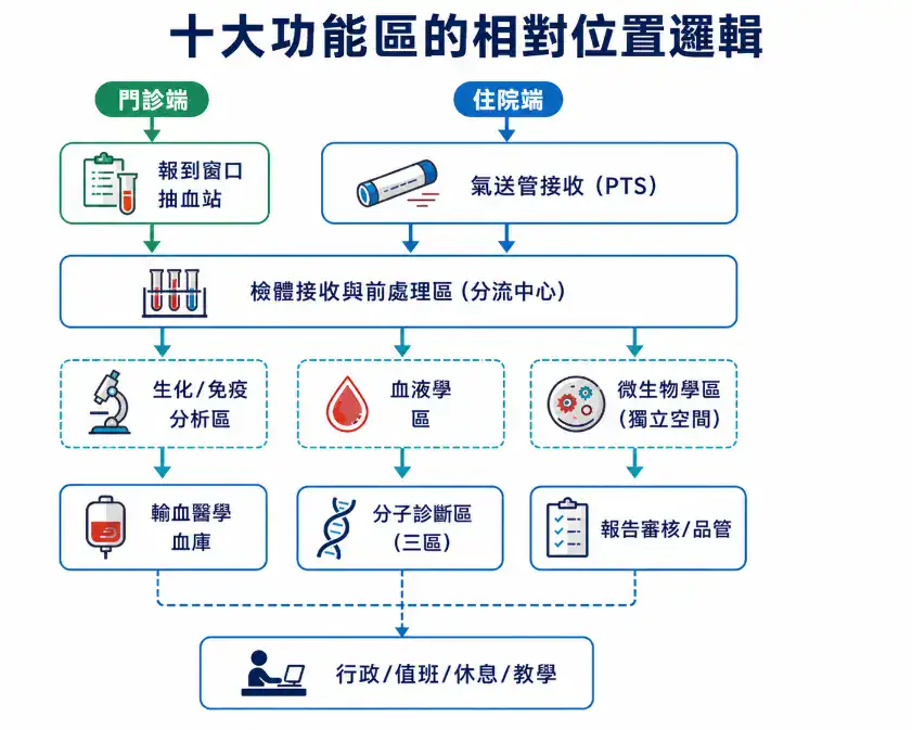 醫院與醫療機構實驗室規劃指南 醫院檢驗科功能分區與動線配置圖,顯示門診與住院檢體由接收與前處理中心分流至生化、血液、微生物、分子診斷與血庫等區域