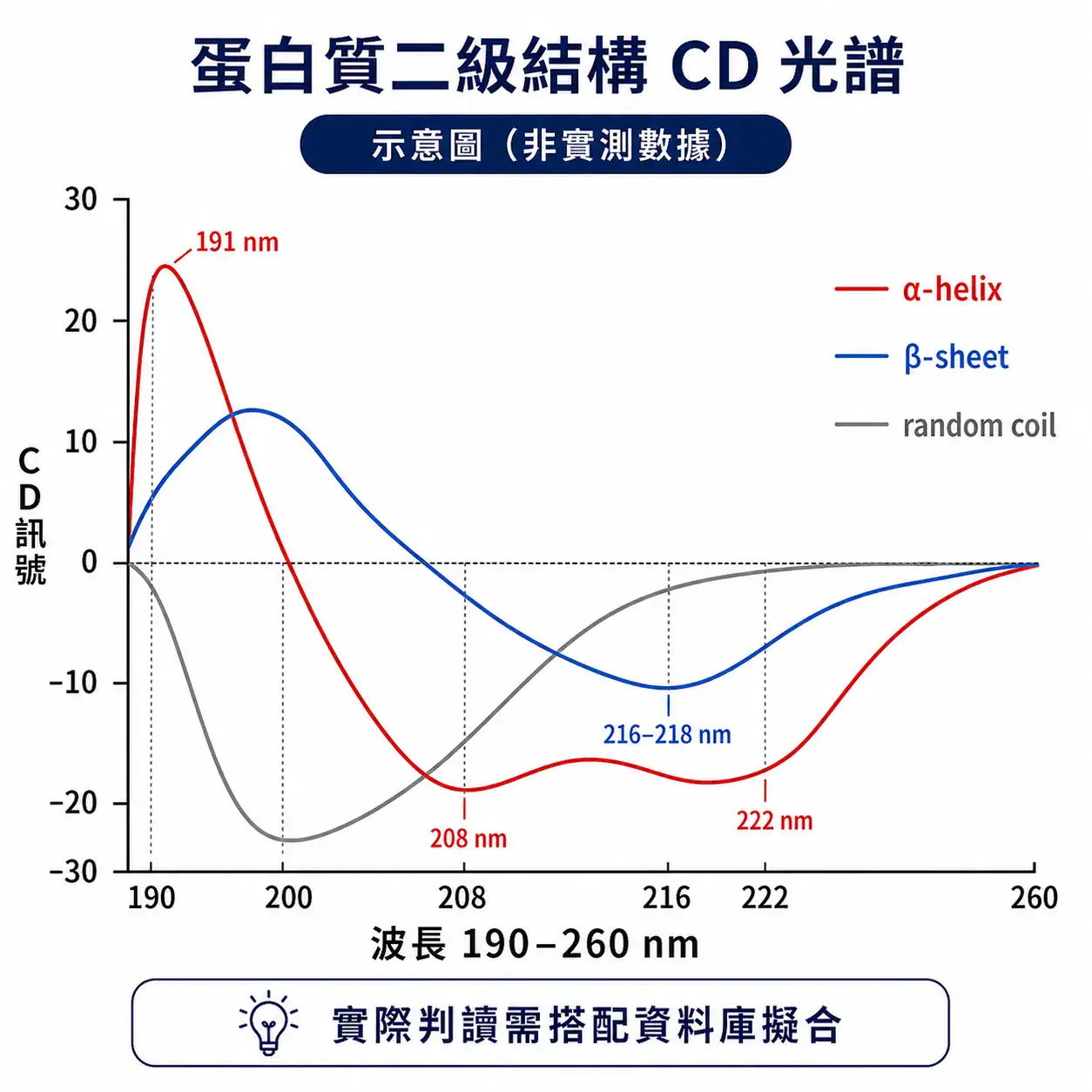 圓二色光譜儀(CD)選購完整指南 蛋白質二級結構 far-UV CD 光譜示意圖,顯示 α-helix、β-sheet、random coil 特徵差異