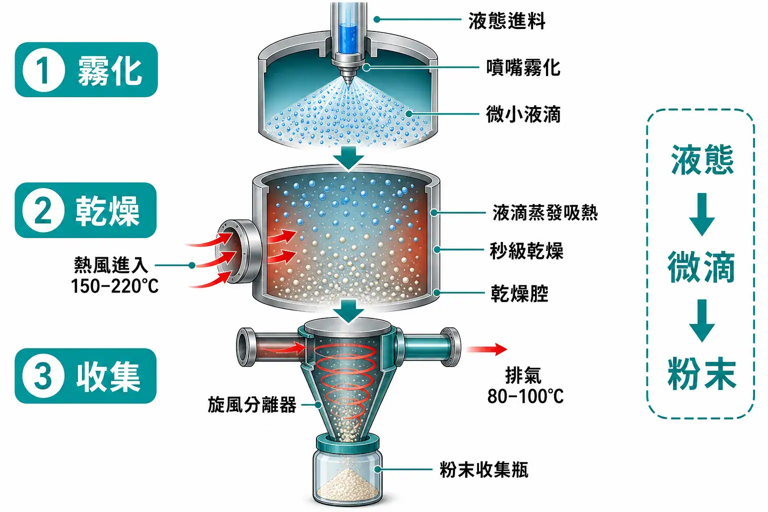 實驗室噴霧乾燥機選型指南|從霧化方式、進出口溫度到有機溶劑安全的搭配邏輯 噴霧乾燥三段流程剖面圖:霧化、乾燥、旋風分離收集粉末