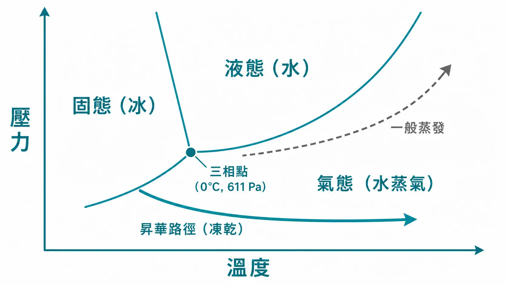 冷凍乾燥機選型完整指南|從構型、冷凝溫度到真空系統的決策邏輯 水的相圖與冷凍乾燥昇華路徑:在三相點以下壓力讓冰直接昇華成水蒸氣