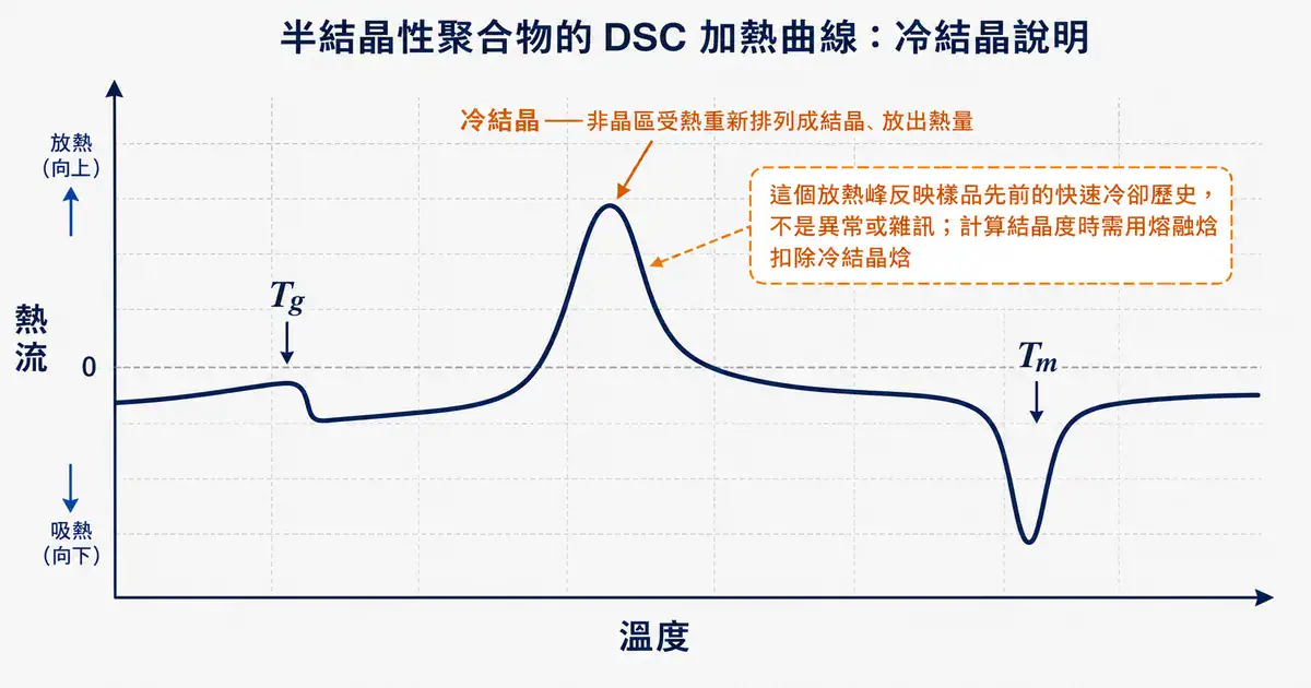 冷結晶:Tg 與 Tm 之間反映熱歷史的放熱峰 高分子 DSC 冷結晶判讀示意圖:Tg 與 Tm 之間的冷結晶放熱峰